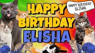 Happy Birthday Elisha! Crazy Cats Say Happy Birthday Elisha (Very Funny)