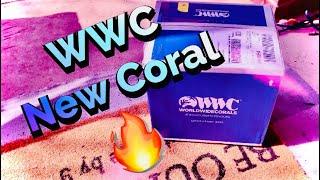 WWC Open Box| New Coral| How To| Coral Dipping