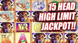 MASSIVE JACKPOT ON BUFFALO GOLD WITH 15 HEADS