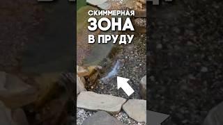 Скиммерная зона в пруду