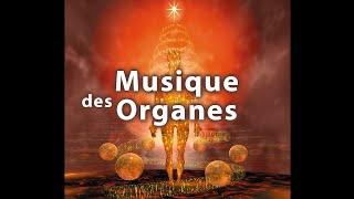 Musique Autoguérison du Corps - Purification et Nettoyage des organes