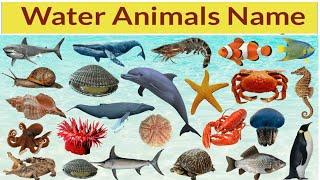 20 पानी में रहने वाले जीवो के नाम| Water Animals name in hindi and english| WATER ANIMALS NAMES