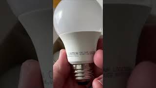 Great Value LED Light Bulbs- Links in Description