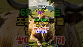“6월 소띠 운세“ #미미의운정비서 #띠별운세 #운세숏츠 #운세채널 #금전운 #운세 #재물운 #6월운세 #shorts