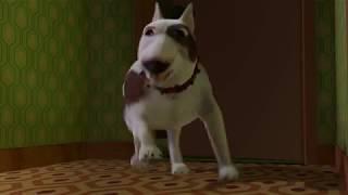Stupid Dog    ~  Toy Story