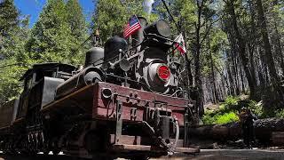 Yosemite Mountain Sugar Pine Railroad, Sights and Sounds Travel Destination