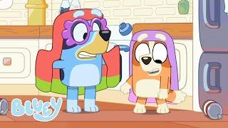 Best Moments of The Grannies - Rita and Janet | Bluey