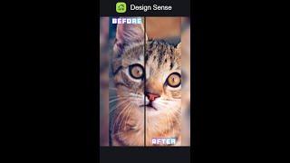 New Upscaler Feature | Designsense AI