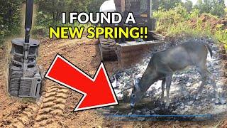 I FOUND A NEW SPRING on our Missouri Ozarks property! Trail cam video updates NATURAL deer pond