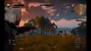 The Witcher 3 BOSS GRIFON
