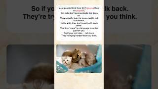 Your Cat’s Meow Can Mean More Than You Think  Cat Facts & Information 