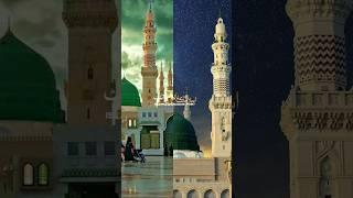 Amina Ka Lal Aaya | New Eid Milad-un-nabi status | Hafiz Dr.Nishar Ahmed Naat | Islamic Naat status