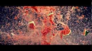 SV Media Films | Slow Motion Demo Reel - VideoBlocks Promo Video