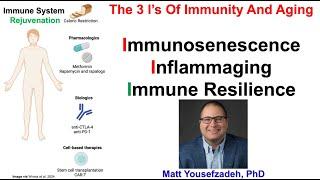 Immunosenescence, Inflammaging, And Immune Resilience: Matt Yousefzadeh, PhD