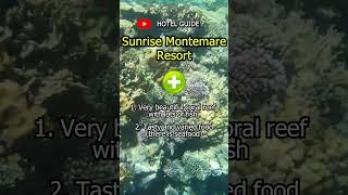 Sunrise Montemare Resort  PROS&CONS #shorts  #travelvlog #egypt