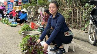 FULL VIDEO: 60 days to harvest melons and oranges to go to the market to sell