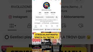 STRISCIALANTIMAFIA SPACCA SU TIKTOK ! ! ! #antimafia #striscialantimafia #tiktok