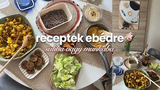 meal prep: vegán ebédötletek dobozolással