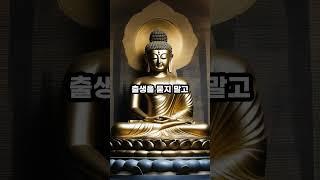 사람을 알고 싶다면 #부처님 #부처님말씀 #진리 #진리의말씀 #인생