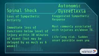 spinal shock vs autonomic dysreflexia