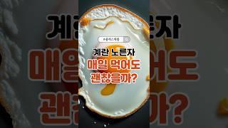 계란 노른자, 매일 먹어도 괜찮을까? #계란노른자#건강상식#콜레스테롤#식품과건강#중년건강