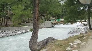 Naltar Valley Gilgit−Baltistan