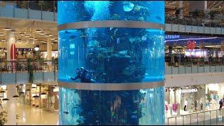 Moscow. Aquarium in a shopping mall 2023 4K