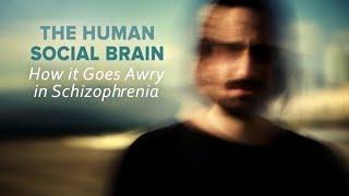 The Human Social Brain: How It Goes Awry in Schizophrenia