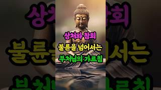 불륜을 넘어서는 부처님의 가르침 #부처님말씀 #부처님의가르침 #부처님은혜 #불교오디오북 #오디오북추천 #마음의소리로쓰는글