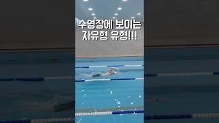수영장에 보이는 자유형 유형!!!