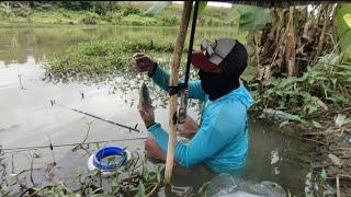 KADUNG DI ENTENI BAK E WONG E MANCING...