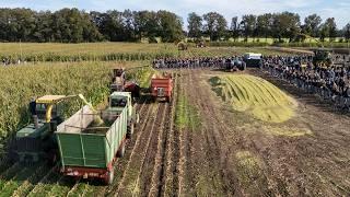 Oldtimer Hakseldag Dalen 2024 | Classic maize harvesting | Dozens of tractors & choppers!