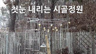 첫눈 내리는 시골정원. A rural garden where the first snow falls.