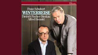 Schubert: Winterreise, D.911: 12. Einsamkeit