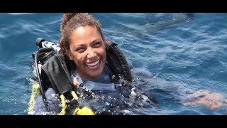PADI Learn to Scuba Dive