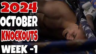 MMA & Boxing Knockouts I October 2024 Part 1