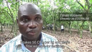 IDH Cocoa Program - The Cocoa Fertilizer Initiative