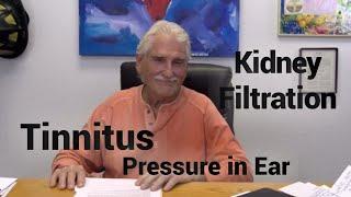 Dr. Robert Morse TINNITUS Ear Pressure Kidney Filtration