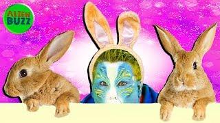 Funny Bunny Show And HYPNOTIZING A RABBIT! | Official AlienBuzz TV