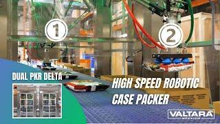 PKR Delta Case Packer Twin Cell For 85 Retail Bags Per Minute