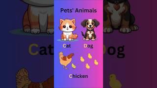 Kids' Pet Friends Cats, Dogs, and Chickens | Teaching Empathy and Responsibility | Pet Care | #short