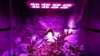 GrowAce.com - REVIEW 360w LED Advance Spectrum MAX Modular Grow Light Product Overview