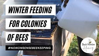 How To Feed Bees In Winter - Winter Feeding Bees - Feeding Winter Bees