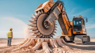 Incredible High-Speed Wood Chipping & Land Clearing - Heavy Tree Shredding & Stump Grinding Working