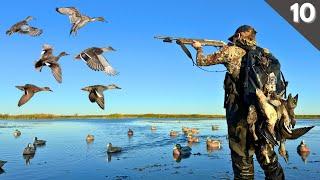 Duck Hunting 2024 | Minnesota Public Land Mixed Bag (6 Species)