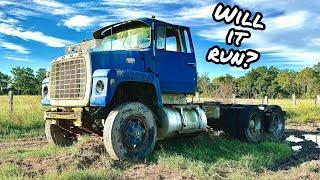 BIG Cummins Powered Truck SITTING in a COW Paddock for YEARS! Will it START?