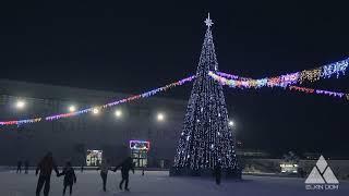 Большая уличная Ель. Ёлкин Дом | Big outdoor Christmas tree. Elkin Dom