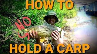 How to Properly Handle a Carp