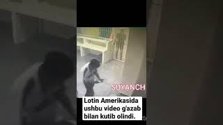 Lotin Amerikasida ushbu video g'azab bilan kutib olindi.#мигранты #европа