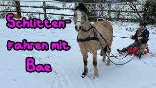 Schlittenfahren mit Bae Zum Glück gibt's noch Schnee!